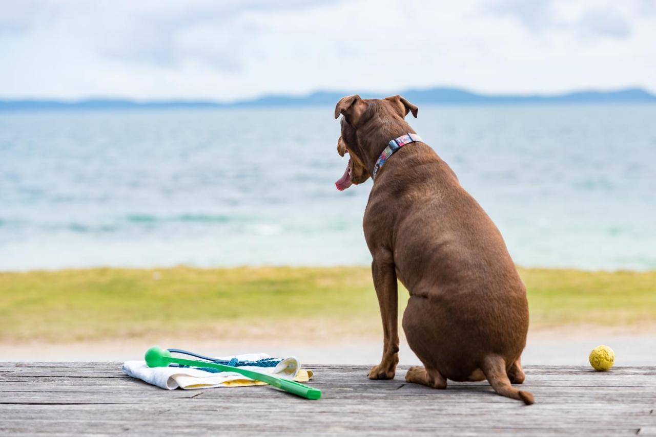 Golden Sand Beachfront, Cable Bay Stays, Cable Bay, Northland Coopers Beach Exterior foto